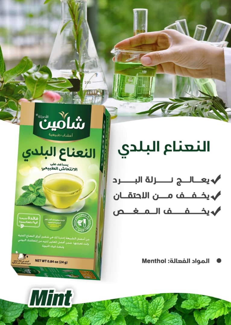 النعنع البلدي