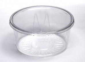 avity Plastic Boxes with hinge lid
