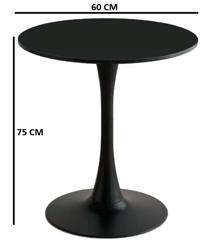 T1-60
