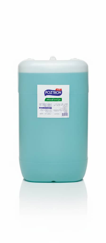 WhatsApp Image 2026 01 19 at 12.38.05 PM