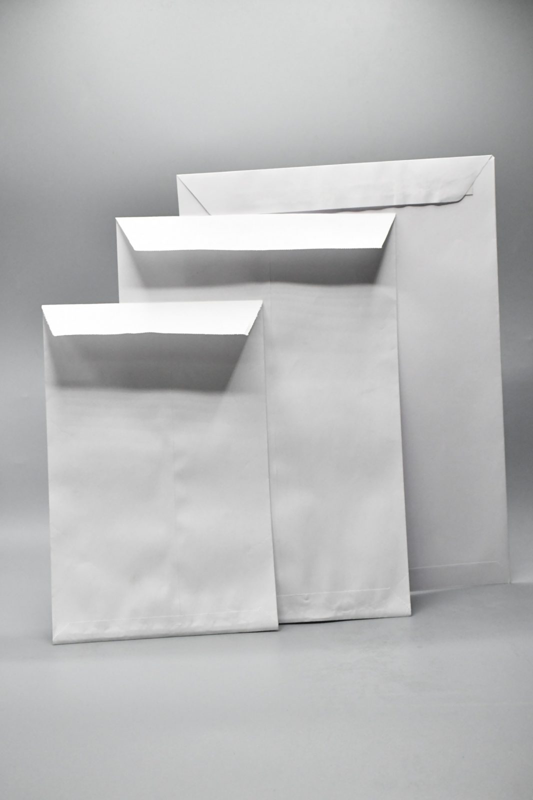 WhatsApp Image 2026 02 02 at 3.33.21 PM