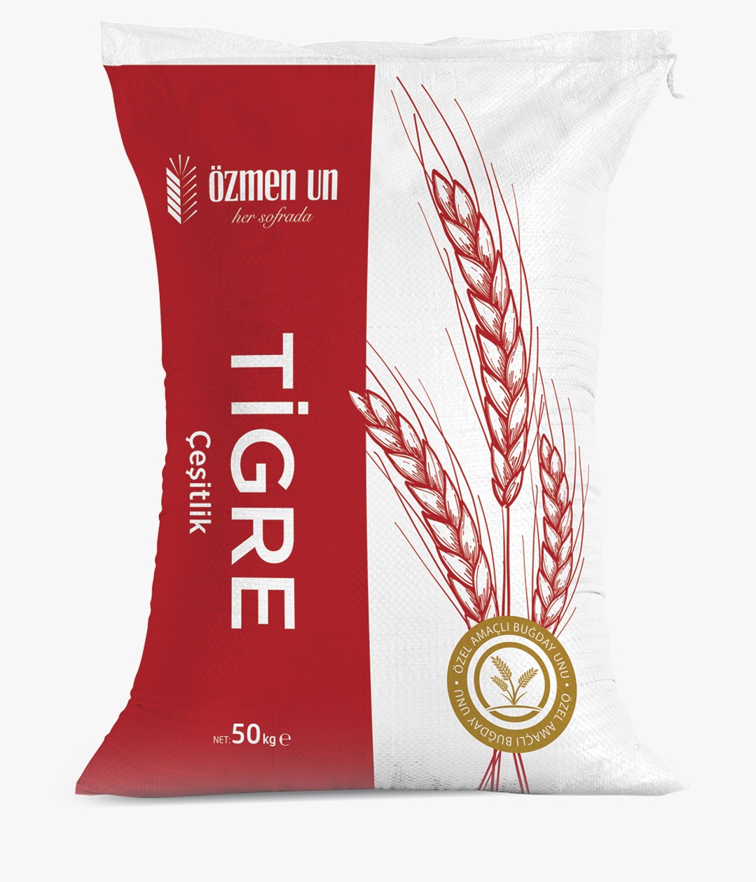 WhatsApp Image 2026 04 01 at 1.04.51 PM