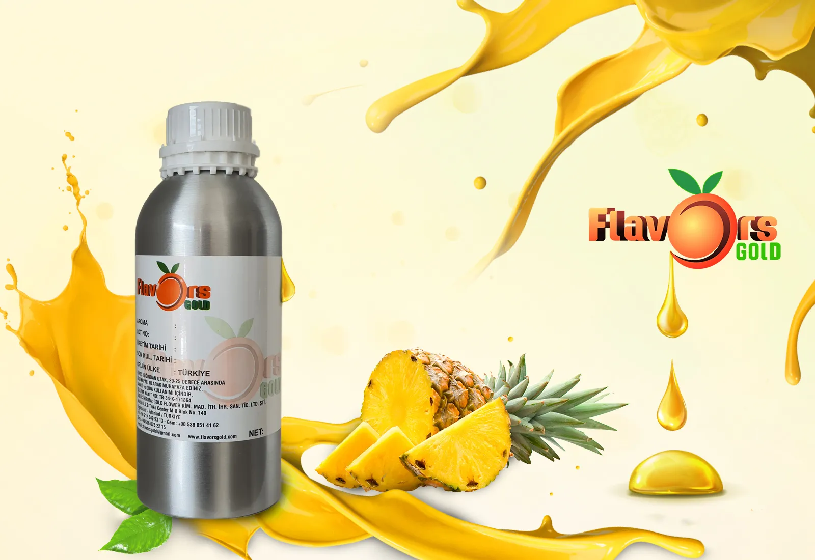 Conceptc Pineapple 1